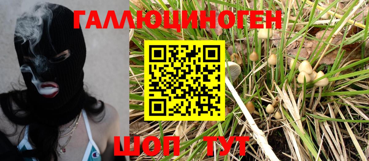 Галлюциногенные грибы мухоморы  Вход с VPN  Кимовск 