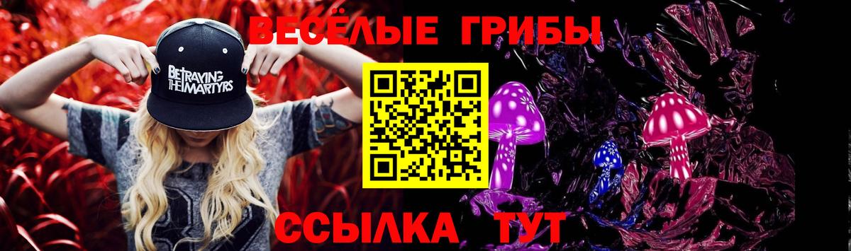 Псилоцибиновые грибы Psilocybine cubensis Кимовск
